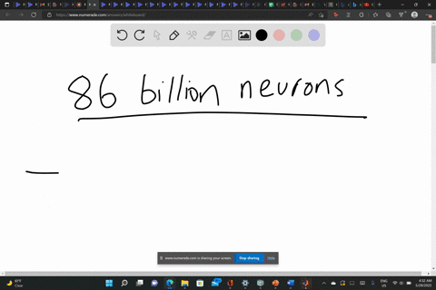 an-adult-brain-contains-roughly-how-many-neurons-please-answer-this-question-85453