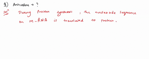 on-which-of-the-following-molecules-would-you-find-an-anticodon-mrna-trna-snrna-ssrna-trna-73356