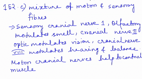 ise-the-main-visceral-control-center-of-the-brain-is-the-a-hypophysis-b-hypothalamus-c-reticular-formalion-d-thalamus-4-putamen-152cranial-nerves-can-canry-a-motor-fibers-only-b-sensory-fibe-62999