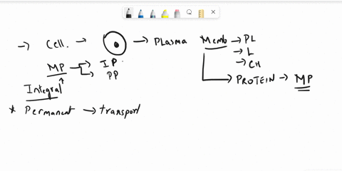 describe-two-different-ways-that-integral-membrane-proteins-associatewith-a-membrane-how-do-peripheral-membrane-proteins-associate-witha-membrane-80344