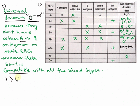 questions1-fill-in-the-table-for-the-indicated-blood-type-using-x-to-indicate-if-that-particular-presence-is-present-in-the-indicated-blood-type2-after-filling-in-the-table-above-which-blood-54102