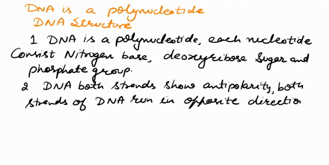 provide-5-characteristics-describing-the-structure-of-dna-82705