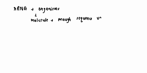 explain-why-rrna-can-be-used-to-differentiate-organisms-25786