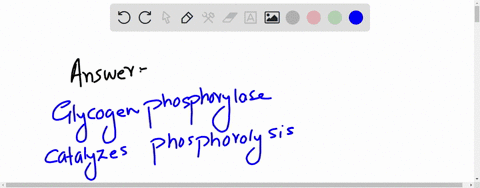based-on-what-you-know-about-glucagon-would-you-expect-this-hormone-to-have-a-role-in-activating-or-inhibiting-each-of-the-following-enzymes-in-the-liver-1-point-each-a-acyl-coa-synthetase-b-64108