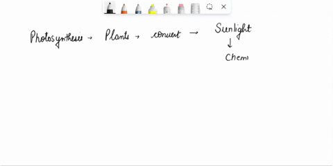 photosynthetic-can-use-light-energy-of-the-sun-to-produce-their-own-food-24453