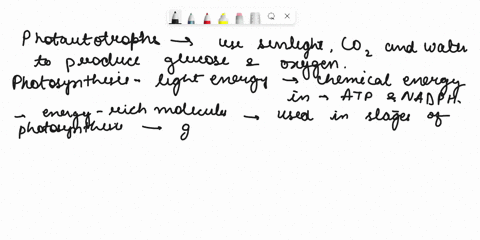 126b-which-of-the-following-statements-concerning-photoautotrophs-is-false-all-of-these-statements-are-false-photoautotrophs-carry-out-photosynthesis-to-directly-turn-sunlight-photons-into-a-07671