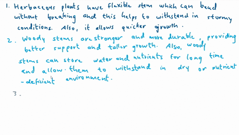 1-what-advantage-would-herbaceous-stems-have-over-woody-stems-2-what-advantage-would-woody-stems-have-over-herbaceous-stems3-what-makes-herbaceous-plants-more-valueable-to-people-as-food-sou-51031