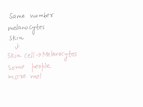 1-only-about-5-percent-of-animals-have-a-backbone-and-these-species-are-called___________protists-vertebrates-invertebrates-the-majority-of-animals-lack-a-backbone-and-are-called________vert-58844