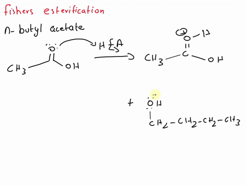 thfory-esters-can-be-made-by-variety-of-rcactions-the-n-butyl-acetate-synthesis-performed-in-this-lab-illustrates-the-most-fundamental-method-of-preparing-esters-the-fischer-esterification-c-03312