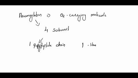 under-appropriate-conditions-hemoglobin-dissociates-into-its-four-subunits-the-isolated-alfa-subunit-binds-oxygen-but-the-o2-saturation-curve-is-hyperbolic-rather-that-sigmoid-in-addition-th-39179