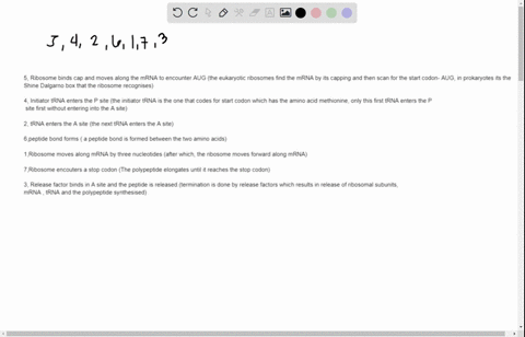shown-below-are-the-steps-in-translation-in-a-scrambled-order-reorder-the-steps-of-translation-in-the-correct-order-read-carefully-to-determine-where-to-start-1-ribosome-moves-along-mrna-by-11057