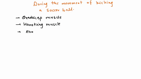 during-the-movement-of-kicking-a-soccer-ball-which-muscle-is-the-prime-mover-which-muscle-is-the-antagonist-and-which-is-the-synergist-describe-the-lobes-of-the-cerebrum-and-their-primary-fu-98274