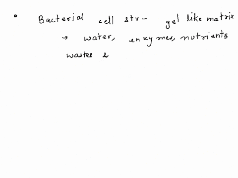 which-of-the-following-is-not-one-of-the-bacterial-cell-structures-a-epizon-b-plasmid-c-dna-d-cytoplasmic-membrane-e-nucleus-56253