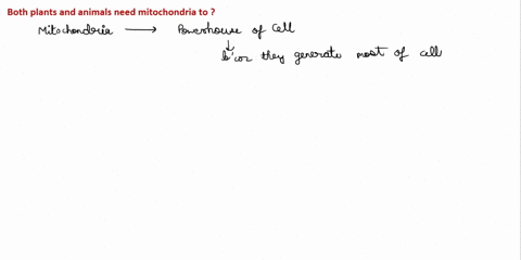 both-plants-and-animals-need-mitochondria-to-52571