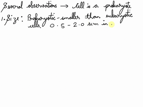 what-observation-proves-that-a-cell-is-a-prokaryote-57365