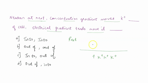 icq-2-when-a-neurons-membrane-is-at-rest-the-concentration-gradient-tends-to-move-potassium-the-cell-and-the-electrical-gradient-tends-to-move-it-the-cell_-as-into-into-b-out-of-out-of-c-int-35293