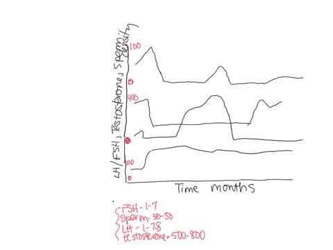 a-reproductive-endocrinology-experiment-wes-perforned-on-a-healthy-male-subject-over-a-period-of-months-and-the-data-collected-are-shown-below-three-different-hormones-were-injected-during-t-96308