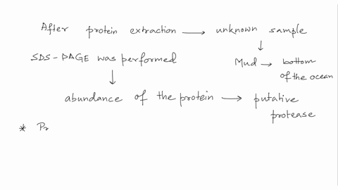 3-suppose-you-were-given-an-unknown-organism-that-was-dredged-out-of-the-mud-from-the-bottom-of-the-ocean-you-were-able-to-grow-the-organism-and-you-used-typical-methods-to-break-open-the-ce-99728