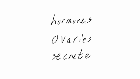 what-hormones-do-the-ovaries-secrete-gonadotropins-estrogen-progesterone-oxytocin
