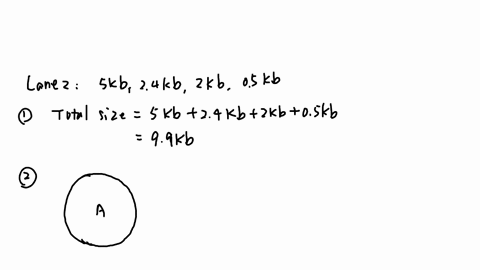 5-the-following-image-represents-the-agarose-gel-electrophoresis-results-from-restriction-digestion-the-dna-ladder-marker-is-in-lane-1-with-band-sizes-as-indicated-to-the-left-and-lane-2-is-63924