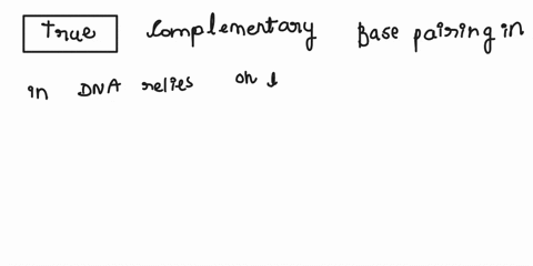 respond-to-each-sentance-with-true-or-false-regarding-the-replication-of-dna-complementary-base-pairing-relies-on-the-number-of-hydrogen-bonds-that-each-base-can-make-in-a-single-nucleotide-47942