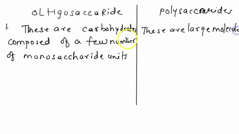what-is-the-difference-in-structure-between-oligosaccharides-and-polysaccharides-28034