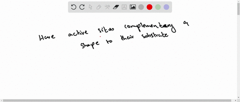 each-enzyme-has-a-particular-substrate-because-enzymes-75963