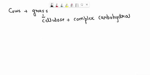 how-do-bacteria-in-the-guts-of-cows-help-the-cows-to-digest-the-grass-they-eat-a-they-perform-photosynthesis-to-provide-sugar-for-the-cow-b-they-break-down-the-cellulose-cell-walls-of-the-gr-09323