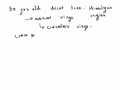 in-a-30-years-old-dicot-tree-growing-in-himalayan-ranges-a-all-branches-show-30-annual-rings-b-base-of-meristem-alone-has-30-annual-rings-c-main-root-has-30-annual-rings-d-annual-rings-are-a-60473