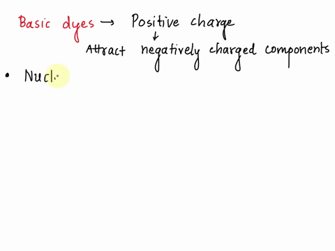 why-are-basic-stains-that-carry-a-positive-charge-better-14845