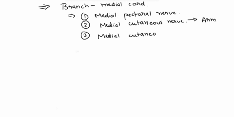 the-medial-cord-has-five-branchesand-four-of-the-five-branches-have-the-wordmedial-in-their-nameswhich-branch-among-them-does-not-have-the-wordmedial-init-isname-lower-subscapular-nerve-medi-46452