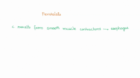 which-of-the-following-statements-correctly-describes-peristalsis-a-it-causes-the-transport-of-nutrients-to-the-liver-through-the-hepatic-portal-vessel-b-it-is-a-process-of-fat-emulsificatio-08324