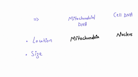 what-is-the-difference-between-mitochondrial-dna-and-cell-dna-2