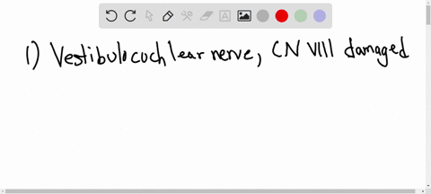 cranial-nerve-case-study-you-rub-your-fingers-together-next-to-your-patient-ear-to-see-if-heshe-can-hear-it-what-cranial-nerve-are-you-testing-the-patient-cannot-hear-the-sound-what-is-your-69924