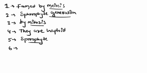 the-folloning-questions-relating-to-ferns-ansutr-are-the-spores-produced-by-the-fern-sporophyle-formed-by-meiosis-or-mitosis-do-the-spores-bclong-to-the-gametophyte-or-sporophyte-gcncration-40125