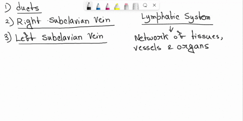 the-purified-lymph-with-lymphocytes-and-antibodies-added-returns-to-the-______________-when-it-leaves-the-lymphatic-ducts-the-right-lymphatic-duct-empties-the-purified-lymph-into-the-_______-70849