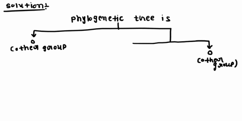 you-are-studying-the-source-of-new-virus-that-has-recently-infected-humans-you-suspect-that-the-virus-was-transferred-from-other-primates-they-exhibit-a-similar-infection-specifically-chimpa-30248