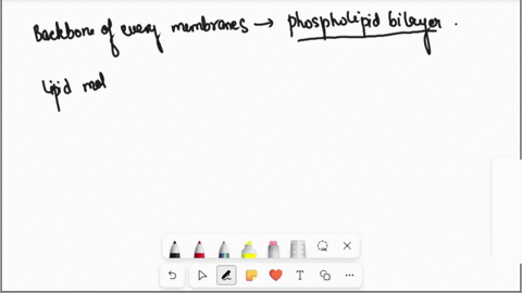 what-is-the-backbone-of-every-membrane-in-your-cells-61415