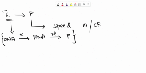 why-is-it-important-to-study-the-enzyme-catechol-oxidase-why-what-how-on-whom-88918