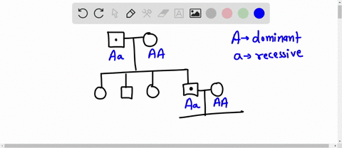 this pedigree shows the inheritance pattern of a disease caused by a ...