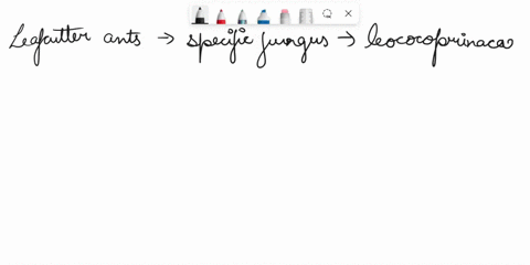 1-explain-the-quadripartite-evolutionary-relationships-between-leaf-cutter-attine-ants-actinomycete-bacteria-leucocoprinaceous-fungi-and-invasive-molds-2-how-does-crispr-work-3-distinguish-b-19736