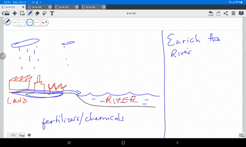 what-approach-would-you-use-to-address-to-the-problem-of-eutrophication-in-river-47438