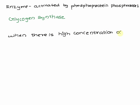 activation-of-which-of-the-following-enzymes-stimulates-the-synthesis-of-glycogen-a-glycogen-synthase-kinase-3-b-protein-kinase-b-c-a-and-b-d-none-of-the-above