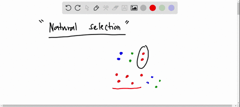 natural-selection-is-a-common-mechanism-for-proposing-how-evolution-occurs-which-statements-describe-how-natural-selection-works-over-time-in-a-population-within-an-ecosystem-select-all-that-18934