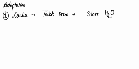 give-two-examples-of-plant-adaptations-and-how-they-help-the-plant-to-survive-47002