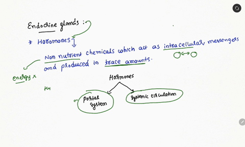 how-are-hormones-transported-to-their-target-organs-37089