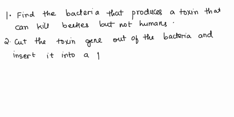 you-are-a-tomato-farmer-whose-crops-are-threatened-by-a-persistent-species-of-beetle-each-yearyou-spend-large-sums-of-money-for-pesticides-to-protect-your-cropsa-biotechnology-company-introd-34595