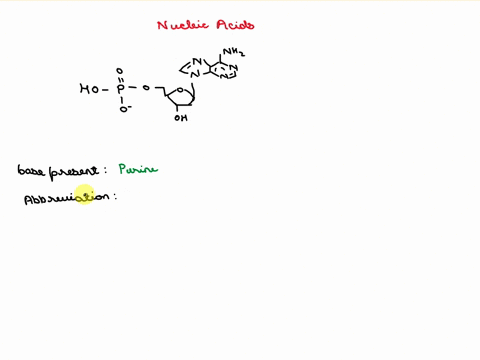 based-on-the-following-nucleotide-structure-answer-the-following-questions-is-the-base-present-in-this-nucleotide-purine-or-a-pyrimidine-what-is-the-abbreviation-for-the-base-present-in-this-03432