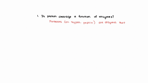 1-is-protein-cleavage-one-possible-function-of-enzyme-2-is-keratin-considered-an-enzymatic-substrate
