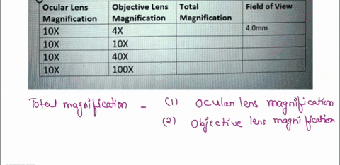 in-the-table-below-calculate-the-total-magnification-and-field-of-view-for-each-level-of-magnification-ocular-lens-objective-lens-total-field-of-view-magnification-magnification-magnificatio-90376